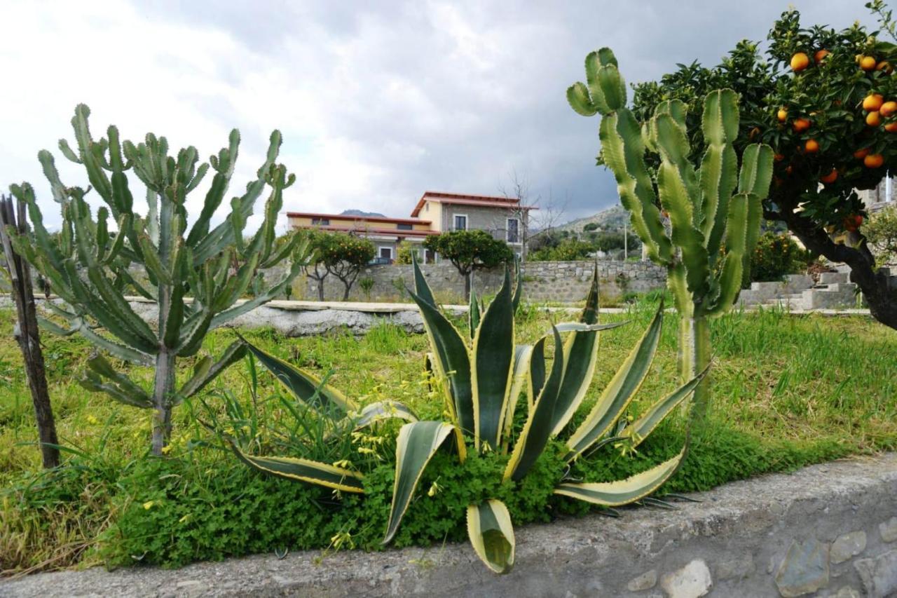 Il Mulino Country Resort Trebisacce Εξωτερικό φωτογραφία
